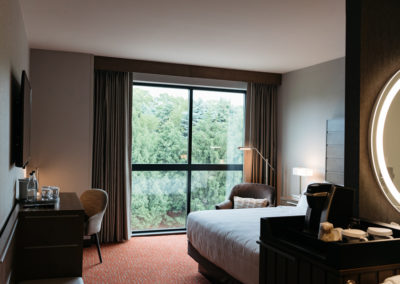 Standard King room view with window